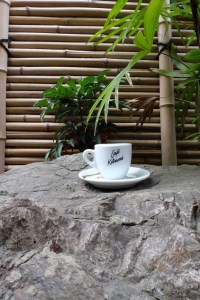 Exterior shot of espresso cup and saucer at Cafe Kitsune Aoyama Tokyo Japan